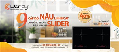 Poster Bếp điện từ cao cấp DY-A101