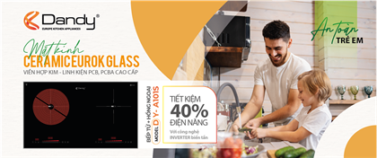 Poster Bếp điện từ cao cấp DY-A101S