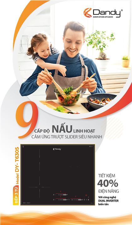 Poster Bếp từ cao cấp Dandy DY-T6305