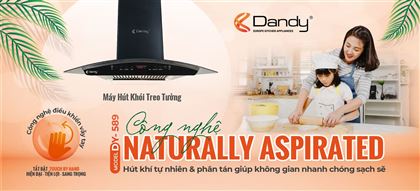 Poster Máy hút khói khử mùi cao cấp DY-589