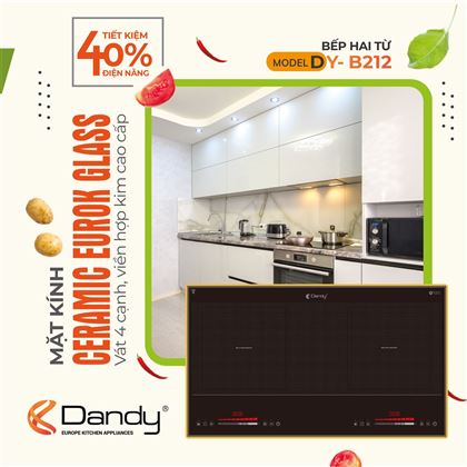 Poster Bếp từ cao cấp Dandy DY-B212
