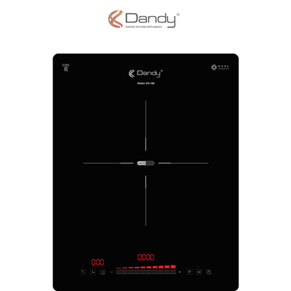 Bếp điện từ cao cấp DY-100