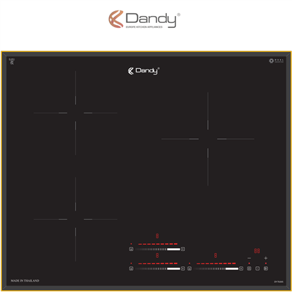 Bếp điện từ cao cấp DY-T6305