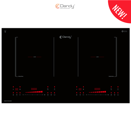 Bếp điện từ cao cấp DY-TH355