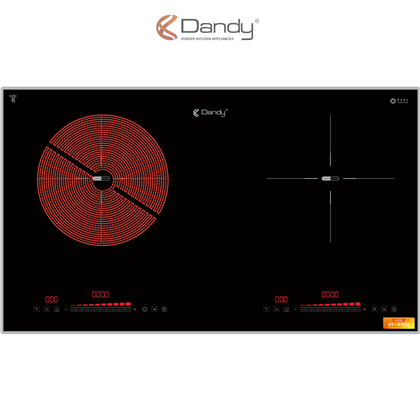 Bếp điện từ cao cấp DY-A101S