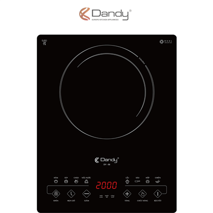 Bếp điện từ cao cấp DY-50