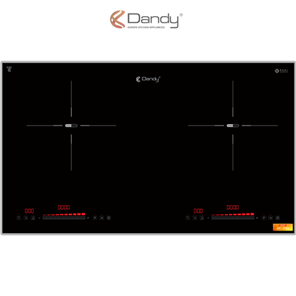 Bếp điện từ cao cấp DY-A125