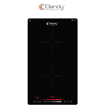 Bếp điện từ cao cấp DY-300