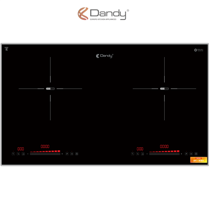 Bếp điện từ cao cấp DY-A101