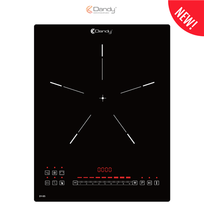 Bếp điện từ cao cấp DY-85