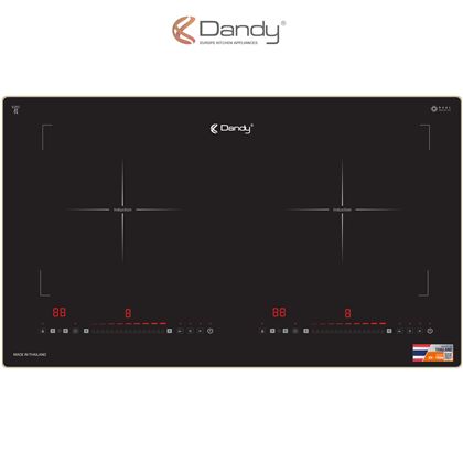 Bếp điện từ cao cấp DY-T556