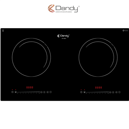 Bếp điện từ cao cấp DY-3001