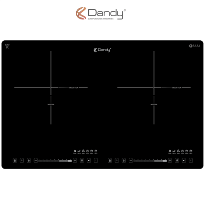 Bếp điện từ cao cấp DY-200