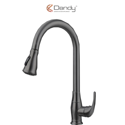 Vòi hai đường nước DY-R2004B