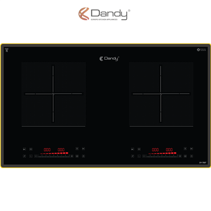 Bếp điện từ cao cấp DY-700T