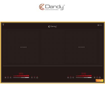 Bếp điện từ cao cấp DY-B212