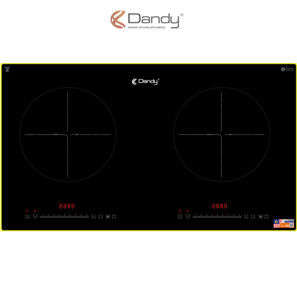 Bếp điện từ cao cấp DY-M301