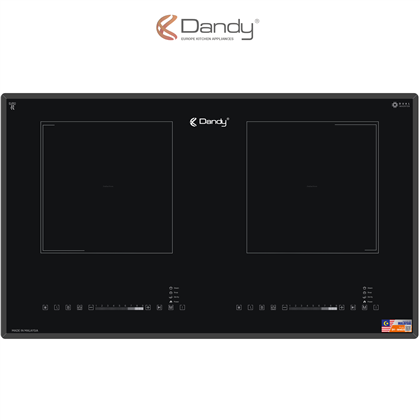 Bếp điện từ cao cấp DY-M4021