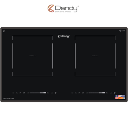 Bếp điện từ cao cấp DY-M4101