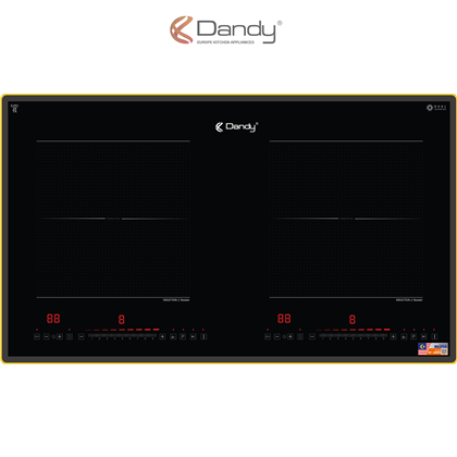 Bếp điện từ cao cấp DY-M5012