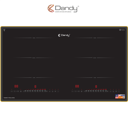 Bếp điện từ cao cấp DY-M674