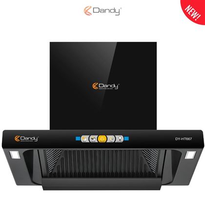 Máy hút khói khử mùi cao cấp DY-HT667