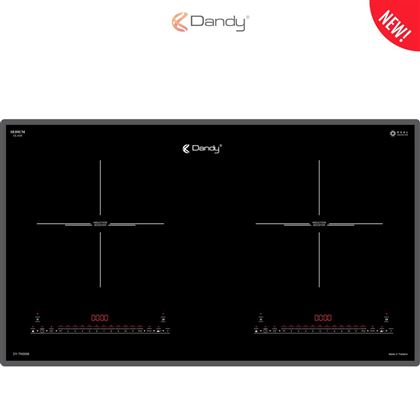 Bếp điện từ cao cấp DY-TN3008