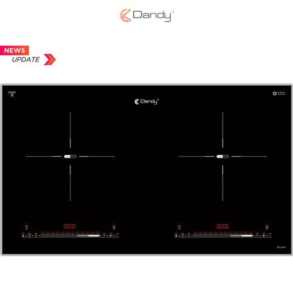 Bếp điện từ cao cấp DY-A101
