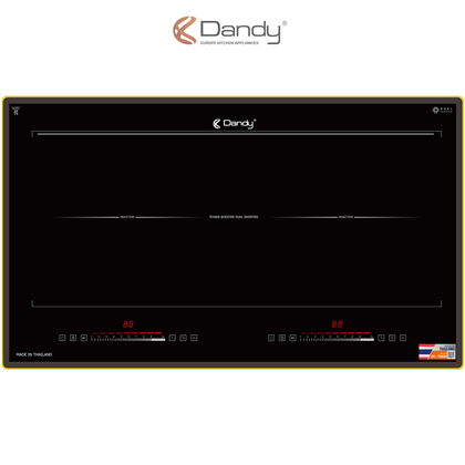 Bếp điện từ cao cấp DY-T5024