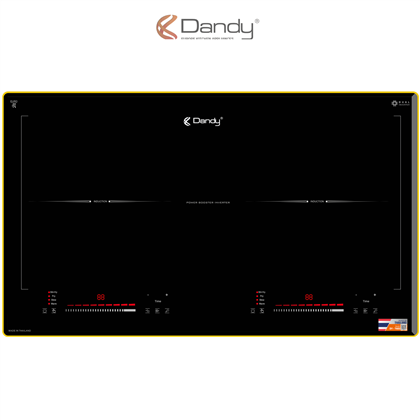 Bếp điện từ cao cấp DY-T602