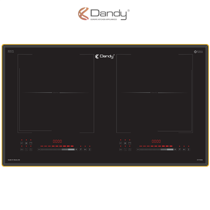 Bếp điện từ cao cấp DY-TV936