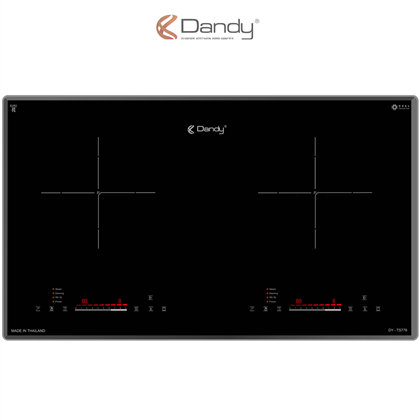 Bếp điện từ cao cấp DY-TS776 