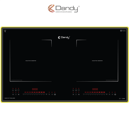 Bếp điện từ cao cấp DY-TU895
