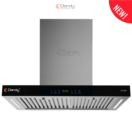 Máy hút khói khử mùi cao cấp DY-T307