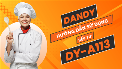 News: Trải nghiệm Bếp hai từ mới của Dandy có dễ sử dụng?? | MODEL DY-A113 | #dandy